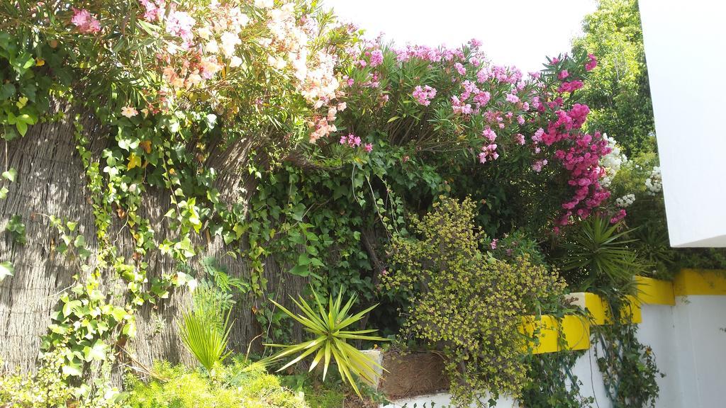 La Gaspara'S Loft Estepona Eksteriør billede